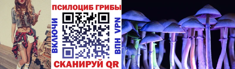 Псилоцибиновые грибы Psilocybine cubensis Буй